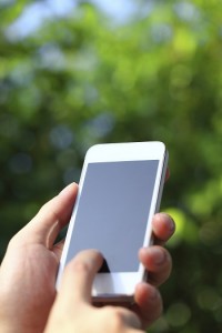 Adventure Web Interactive Mobile App