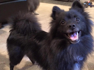 And Gina's other dog Keke!