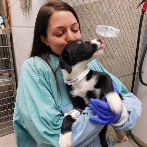 Meet Stephanie's sweet rescue dog Nova.