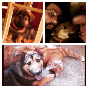 Meet Bobby's happy pets Artemis and Rori. 