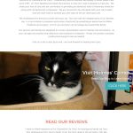 catonsville-cat