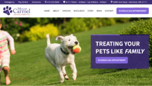 Website Launch: Mount Carmel Animal Hospital